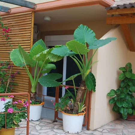 Apartament Rezidenca Kalter *